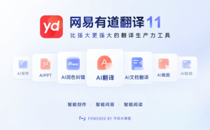 有道翻译外语识别难题解析：小语种翻译设置与实用技巧