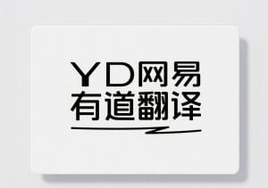 有道翻译电脑版启动缓慢？后台进程清理与优化全攻略