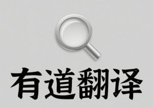有道翻译数据备份全指南：自动备份功能与手动备份策略详解