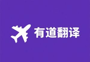 有道翻译电脑版防火墙冲突解析：权限放行设置全攻略