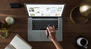 网易有道翻译在跨平台使用中的同步与兼容性问题分析